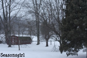 Shed snow